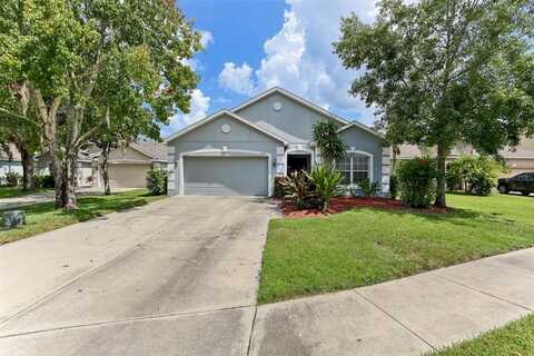 6228 DAINTY BESS COURT, LAND O LAKES, FL 34639