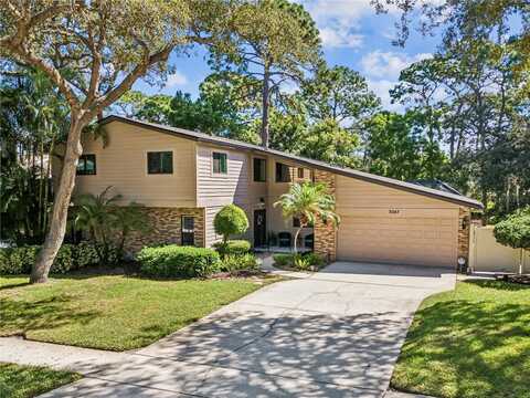 3047 ENISGLEN DRIVE, PALM HARBOR, FL 34683