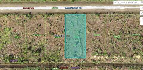 CALLIANDRA DRIVE, LAKE WALES, FL 33855