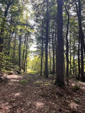 Lot 3 Map 5, Stow, ME 04037