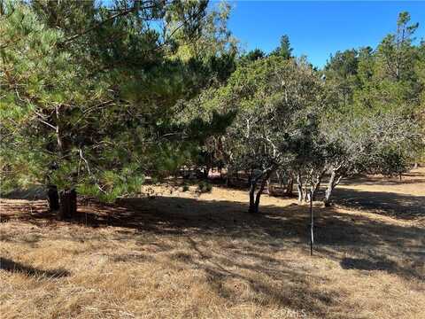 2080 Wales Road, Cambria, CA 93428