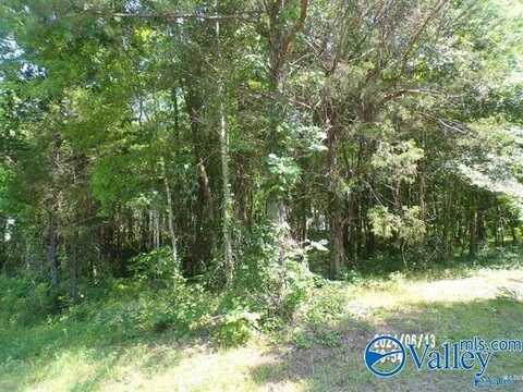 .44 Ac Lot Hackberry Circle, Hokes Bluff, AL 35903