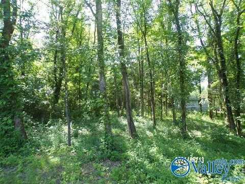 .31 Ac Lot Hackberry Lane, Hokes Bluff, AL 35903