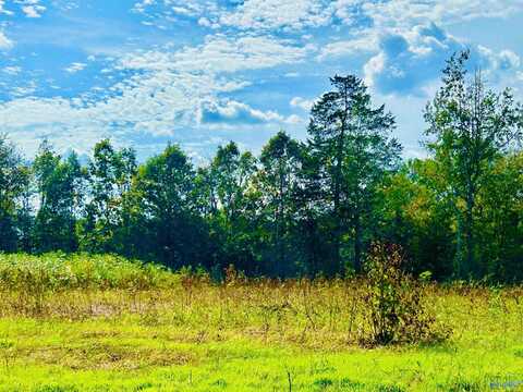 22 Acres Old Vaughn Bridge Road, Hartselle, AL 35640