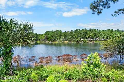 1434 LAKE FOXMEADOW Road, Middleburg, FL 32068