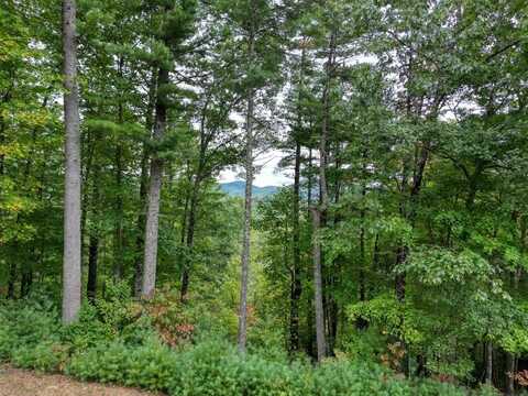 Lot 47 Coopers Creek Hollow, Suches, GA 30572