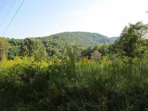 Tract 3a Qualla Road, Hayesville, NC 28904