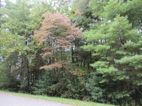 Lot 25 Byers Road, Blairsville, GA 30512