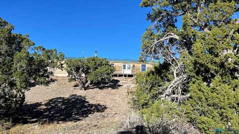 58 Elkwood Drive, Pie Town, NM 87827