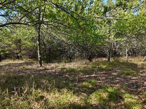 3030 CR2965, Honey Grove, TX 75446