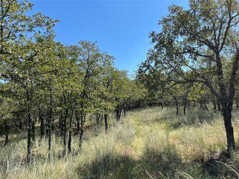 Lot 431 Bluffs Avenue, Bowie, TX 76230