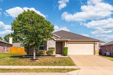 1725 Christopher Creek Drive, Little Elm, TX 75068