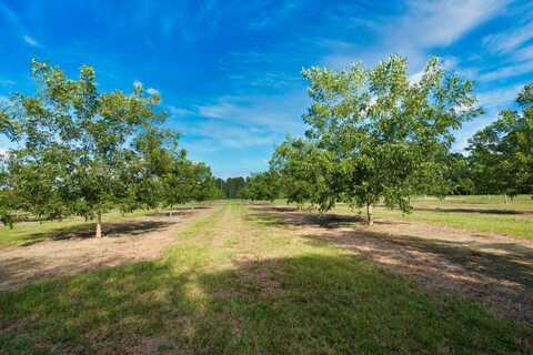 0 Gravel Hill Road, Baconton, GA 31705