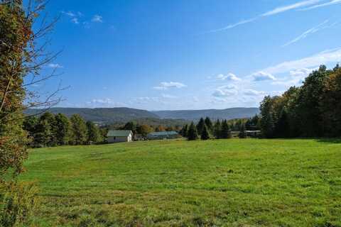 0 Cheese Factory Rd, Deposit, NY 13754