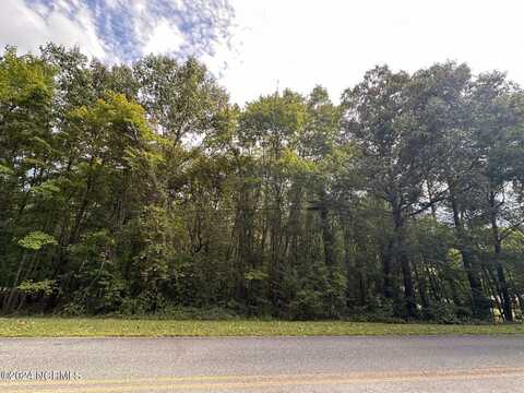 Tbd Forestwood Park Road, Sanford, NC 27330