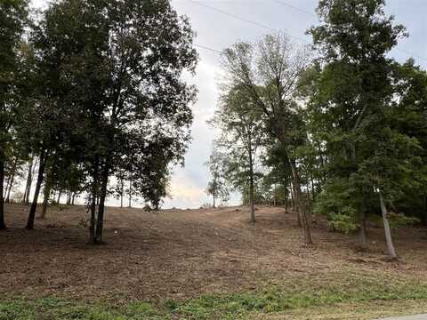 Lot 13 Hidden Valley Drive, Morgantown, KY 42261