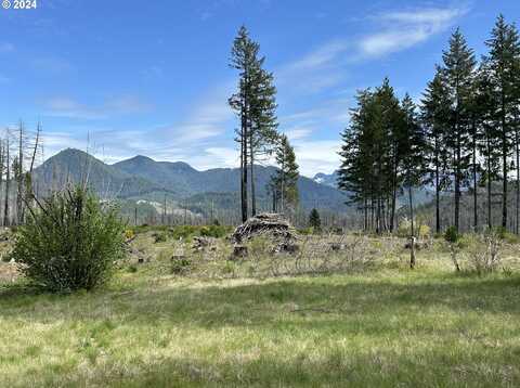 91737 BLUE RIVER RESERVOIR RD, Blue River, OR 97413