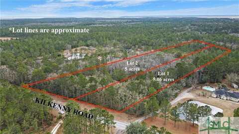 10 Acres Kilkenny Road, Richmond Hill, GA 31324