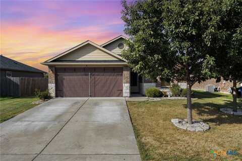 413 Camellia Drive, Hutto, TX 78634