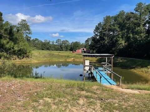 23 Lem Stuart Rd, Tylertown, MS 39667