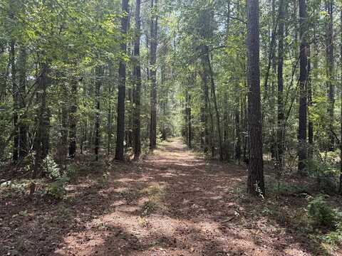 0 Freeman Road, Liberty, MS 39645