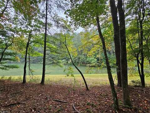 Lot 11 Baldwin Drive, Lowgap, NC 27024