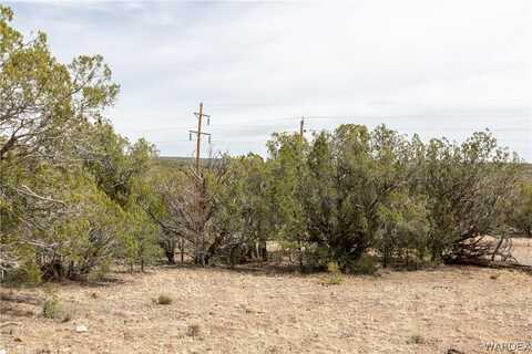 0 High Mountain, Peach Springs, AZ 86434