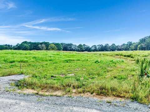 LOT 4 ORCHARD Dr, Cullman, AL 35055