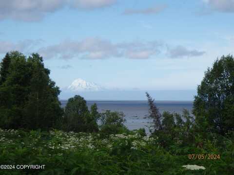 0000 Ocean View Front Road, Kenai, AK 99635