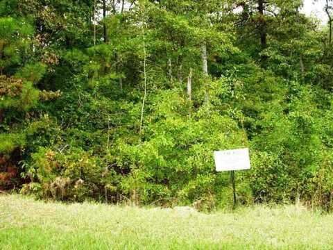 Lot 26 Eve Street, Aiken, SC 29803