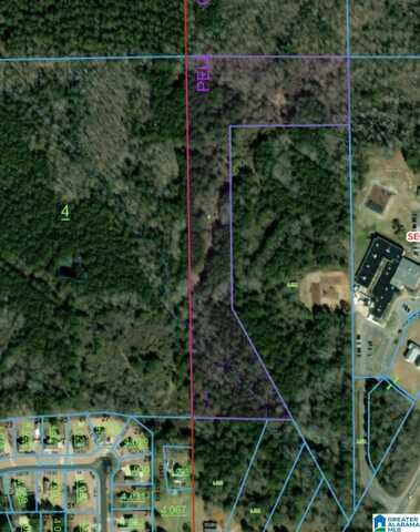 00 HOMESTEAD DRIVE, CROPWELL, AL 35054