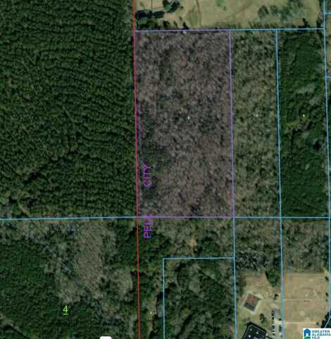 000 HOMESTEAD DRIVE, CROPWELL, AL 35054