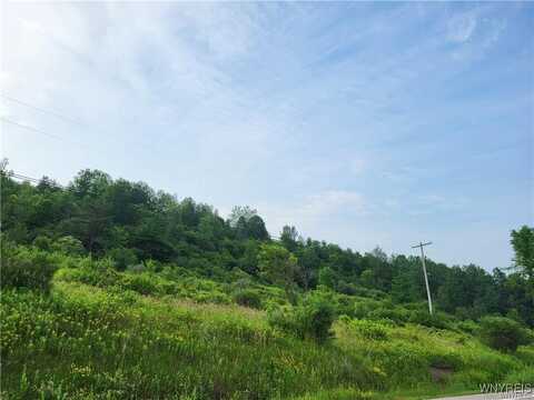 4221 NYS ROUTE 242, Machias, NY 14101