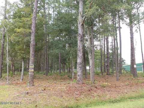 136 Hibbs Extension Ext, Newport, NC 28570