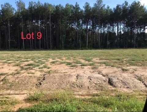 LOT 9 THEO Drive, Deville, LA 71328