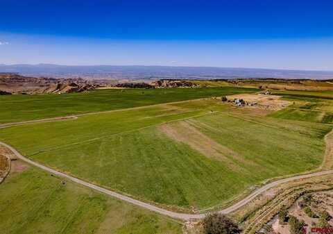 TBD Bostwick Park Road, Montrose, CO 81403