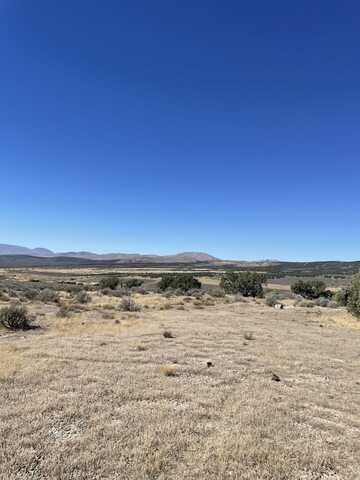 Tbd Emigrant Court, Spring Creek, NV 89815