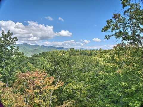 Laurel Branch, Bryson City, NC 28713