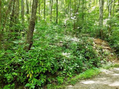 Lot 105 Mountain Vista, Bryson City, NC 28713