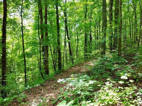 Lot 103 Mountain Vista, Bryson City, NC 28713