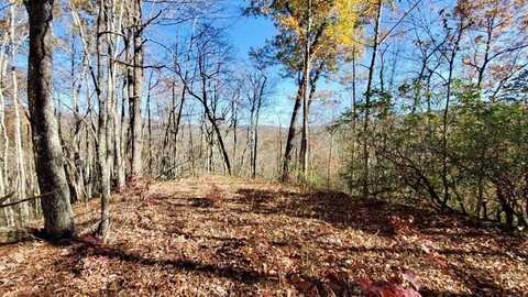 Lot 101 Mountain Vista, Bryson City, NC 28713