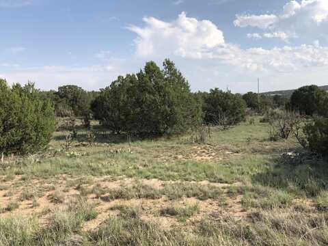 16 QUARTER MOON HILL Road, Edgewood, NM 87015