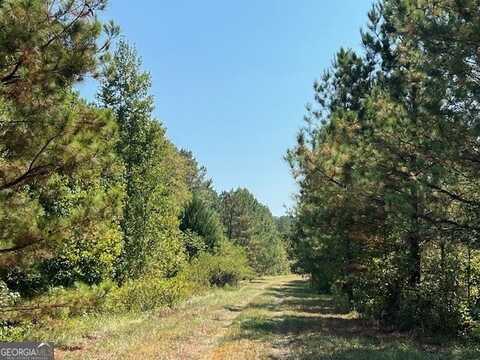 112 Rhett Trail, Warthen, GA 31094