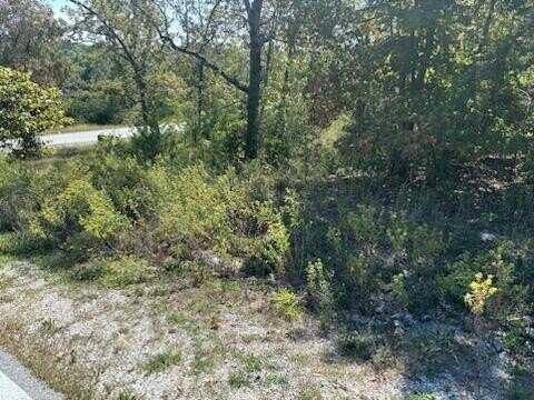 Lot 205 Black Forest Lane, Branson West, MO 65737