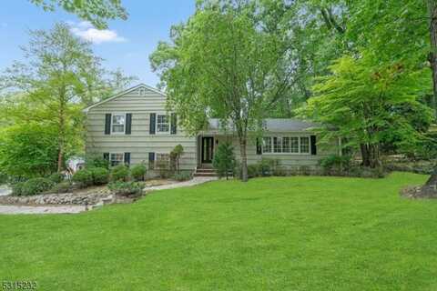 777 Frederick Ct, Wyckoff, NJ 07481