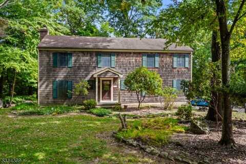 17 Jay Dr, Randolph, NJ 07869