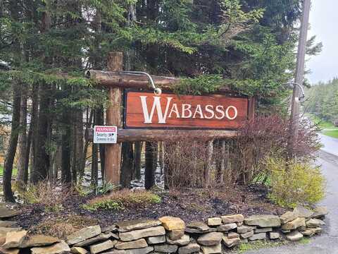 200 Wabasso Dr. #21, Snowshoe, WV 26209