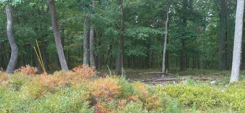 LV Lot 095 Elderberry Lane, Hazle Twp, PA 18202