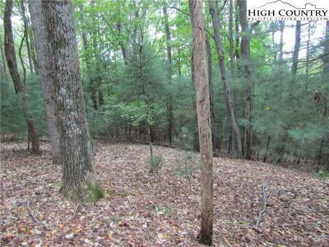 Tbd Jobs Rd, Laurel Springs, NC 28644