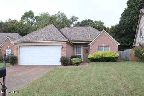 7201 Lucia Lane Lane, Walls, MS 38680